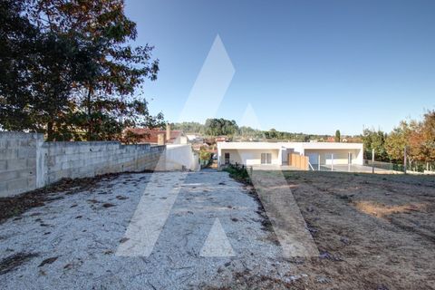 Villa i Anadia, Aveiro, Anadia - € 395.000 | Ref: 1051362/25 OB - foto 47