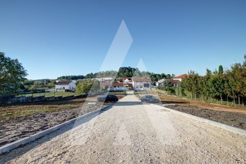 Villa i Anadia, Aveiro, Anadia - € 395.000 | Ref: 1051362/25 OB - foto 48