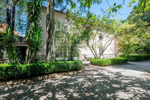 Villa i Santar e Moreira, Viseu, Santar e Moreira - € 950.000 | Ref: CDB089 - foto 22