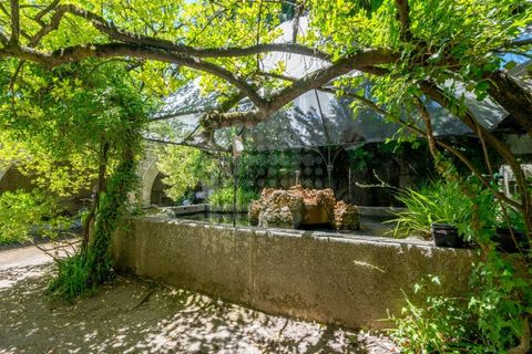 Villa i Santar e Moreira, Viseu, Santar e Moreira - € 950.000 | Ref: CDB089 - foto 30