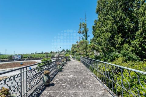 Villa i Santar e Moreira, Viseu, Santar e Moreira - € 950.000 | Ref: CDB089 - foto 36