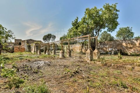 Villa i Estoi, Faro, Estoi - € 710.000 | Ref: CDBPB01a - foto 32