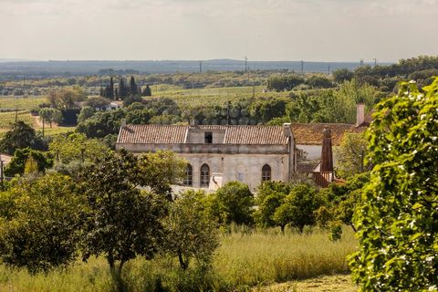 Farm i Estremoz, Evora, Estremoz - € 1.450.000 | Ref: AG053 - foto 1