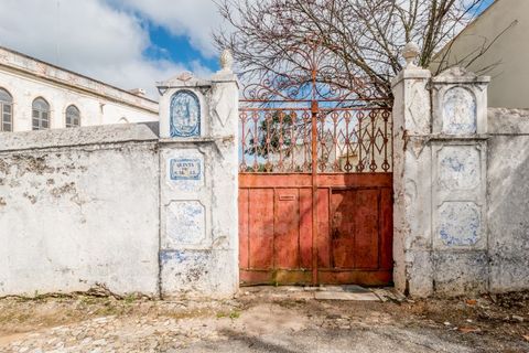 Farm i Estremoz, Evora, Estremoz - € 1.450.000 | Ref: AG053 - foto 3