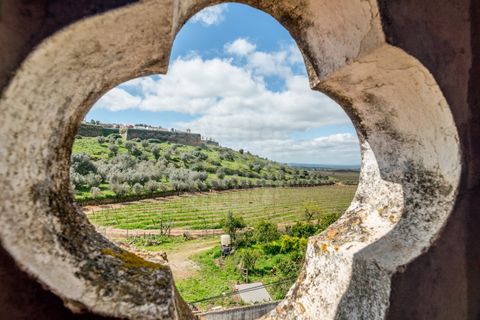Farm i Estremoz, Evora, Estremoz - € 1.450.000 | Ref: AG053 - foto 8