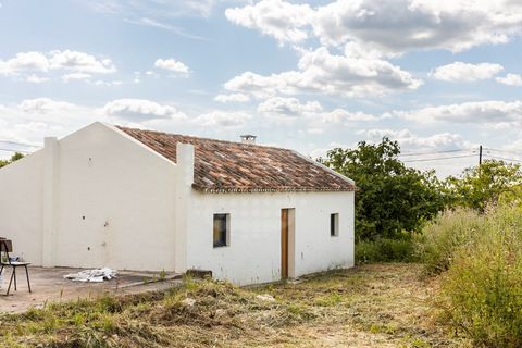 Farm i Estremoz, Evora, Estremoz - € 1.450.000 | Ref: AG053 - foto 22