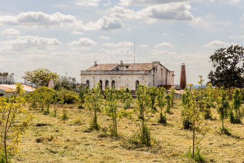 Farm i Estremoz, Evora, Estremoz - € 1.450.000 | Ref: AG053 - foto 24