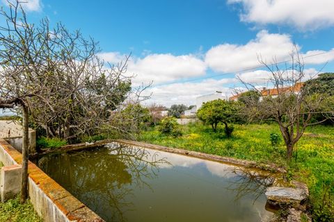 Farm i Estremoz, Evora, Estremoz - € 1.450.000 | Ref: AG053 - foto 25