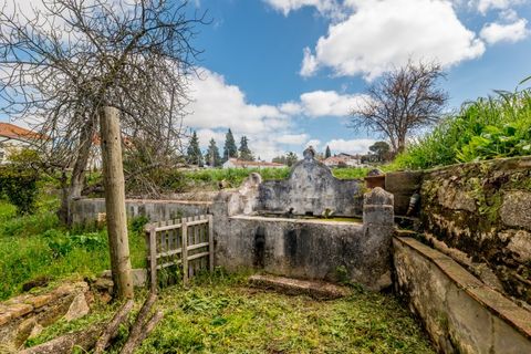 Farm i Estremoz, Evora, Estremoz - € 1.450.000 | Ref: AG053 - foto 26