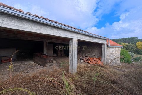 Villa i Viseu, Viseu, Viseu - € 130.000 | Ref: C0203-02537 - foto 3