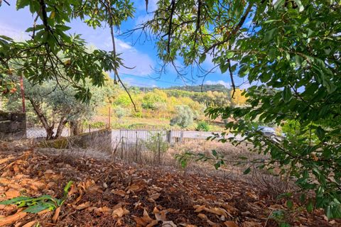 Villa i Viseu, Viseu, Viseu - € 130.000 | Ref: C0203-02537 - foto 5