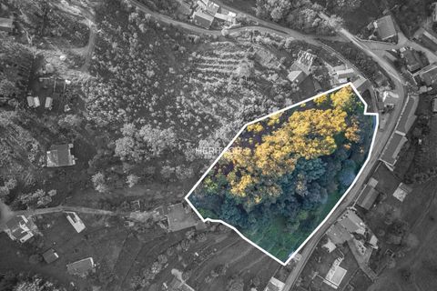 Villa i Barcelos, Braga, Barcelos - € 215.000 | Ref: 0015 - foto 19