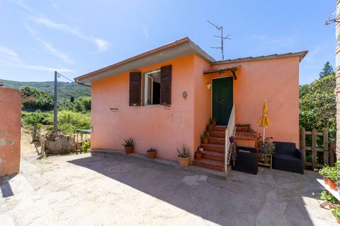 Villa i Monte Argentario, Grosseto, Monte Argentario - € 185.000 | Ref: 20 - foto 2