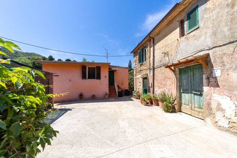 Villa i Monte Argentario, Grosseto, Monte Argentario - € 185.000 | Ref: 20 - foto 13