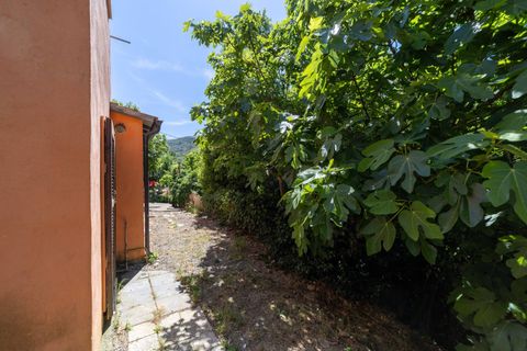 Villa i Monte Argentario, Grosseto, Monte Argentario - € 185.000 | Ref: 20 - foto 15