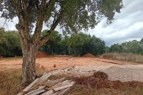Villa i Aljubarrota, Leiria, Aljubarrota - € 450.000 | Ref: 6076 - foto 27