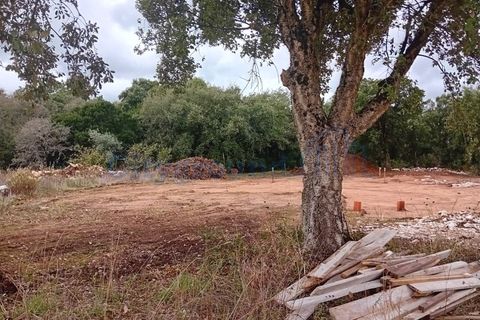 Villa i Aljubarrota, Leiria, Aljubarrota - € 450.000 | Ref: 6076 - foto 26