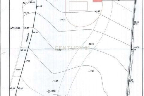 Villa i Foz do Arelho, Leiria, Foz do Arelho - € 999.000 | Ref: C0246-02819 - foto 35