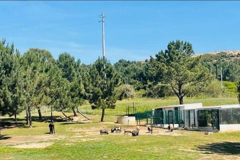 Villa i Foz do Arelho, Leiria, Foz do Arelho - € 999.000 | Ref: C0246-02819 - foto 20