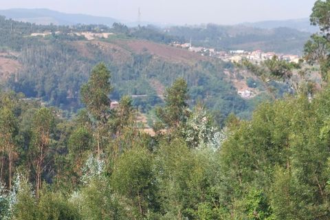 Helårsgrund i Sandim, Porto, Sandim - € 47.500 | Ref: C0510-00441 - foto 13