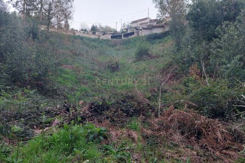 Helårsgrund i Sandim, Porto, Sandim - € 47.500 | Ref: C0510-00441 - foto 14