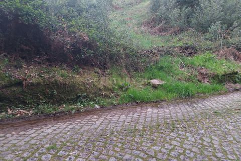 Helårsgrund i Sandim, Porto, Sandim - € 47.500 | Ref: C0510-00441 - foto 15