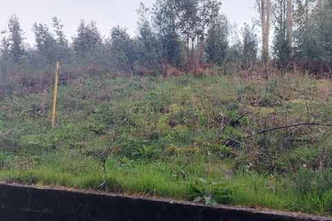Helårsgrund i Sandim, Porto, Sandim - € 47.500 | Ref: C0510-00441 - foto 17