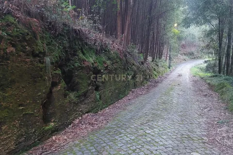 Helårsgrund i Sandim, Porto, Sandim - € 47.500 | Ref: C0510-00441 - foto 18