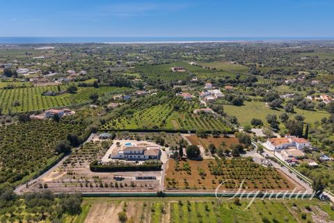 Villa i Tavira, Faro, Tavira - € 1.800.000 | Ref: SV-1924 - foto 14