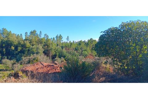 Villa i Macao, Santarem, Macao - € 25.000 | Ref: CAS_364 - foto 7