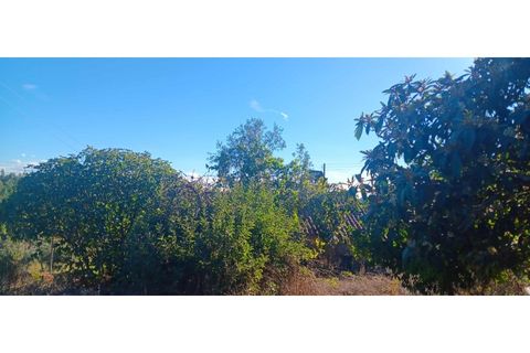 Villa i Macao, Santarem, Macao - € 25.000 | Ref: CAS_364 - foto 8