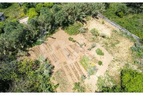 Helårsgrund i Alcabideche, Lisbon, Alcabideche - € 890.000 | Ref: 1217-3380 - foto 16