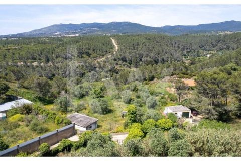 Helårsgrund i Alcabideche, Lisbon, Alcabideche - € 890.000 | Ref: 1217-3380 - foto 18