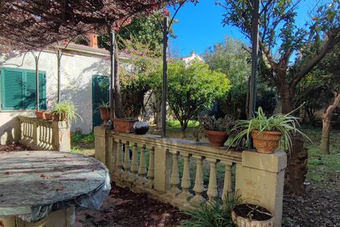 Villa i Viareggio, Lucca, Viareggio - € 900.000 | Ref: 34 - foto 34