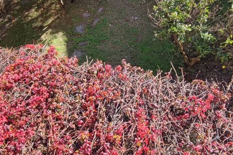 Villa i Viareggio, Lucca, Viareggio - € 900.000 | Ref: 34 - foto 38