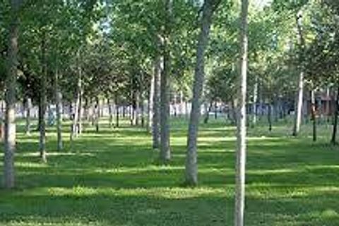 Lejlighed i Viareggio, Lucca, Viareggio - € 225.000 | Ref: 30 - foto 20