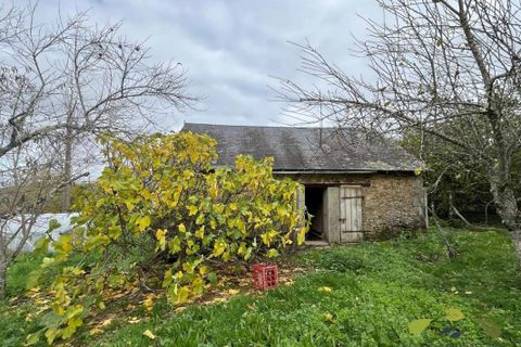 Villa a Eymoutiers, Haute-Vienne, Eymoutiers - € 119.000 | Ref: 4072_S - foto 11