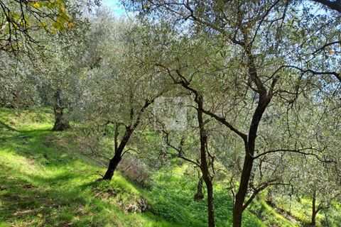 Helårsgrund i Arco, Trento, Arco - € 65.000 | Ref: 1752 - foto 2