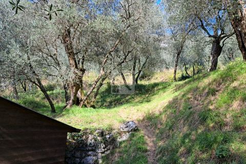 Helårsgrund i Arco, Trento, Arco - € 65.000 | Ref: 1752 - foto 3
