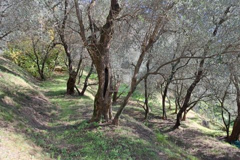Helårsgrund i Arco, Trento, Arco - € 65.000 | Ref: 1752 - foto 5