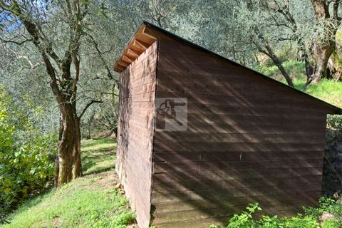 Helårsgrund i Arco, Trento, Arco - € 65.000 | Ref: 1752 - foto 6