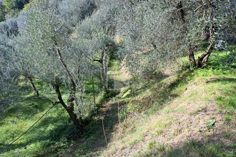 Helårsgrund i Arco, Trento, Arco - € 65.000 | Ref: 1752 - foto 9