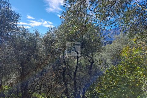 Helårsgrund i Arco, Trento, Arco - € 65.000 | Ref: 1752 - foto 10