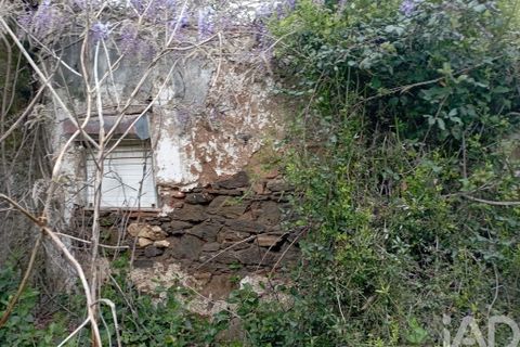 Byhus i Tomar, Santarem, Tomar - € 36.500 | Ref: 93441 - foto 12