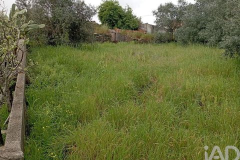 Byhus i Tomar, Santarem, Tomar - € 36.500 | Ref: 93441 - foto 18