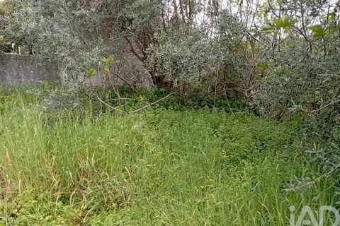 Byhus i Tomar, Santarem, Tomar - € 36.500 | Ref: 93441 - foto 19