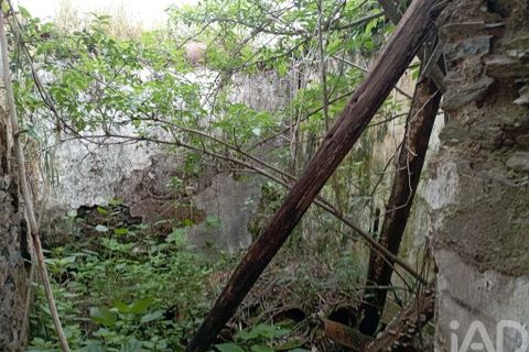 Byhus i Tomar, Santarem, Tomar - € 36.500 | Ref: 93441 - foto 26