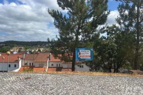 Tomt i Pombal, Leiria, Pombal - € 57 000 | Ref: 146473 - foto 2