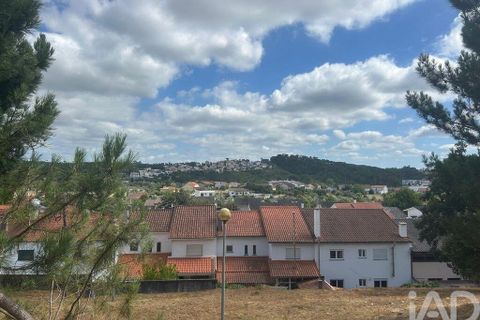 Tomt i Pombal, Leiria, Pombal - € 57 000 | Ref: 146473 - foto 3
