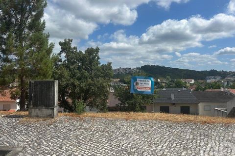 Tomt i Pombal, Leiria, Pombal - € 57 000 | Ref: 146473 - foto 7
